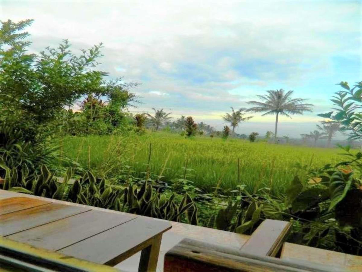 Fida Ijen Crater Guesthouse Licin Esterno foto